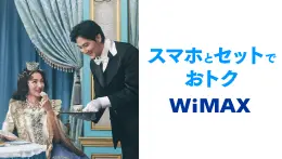 スマホとセットでおトク