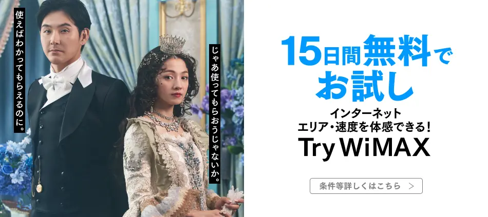 Try WiMAX