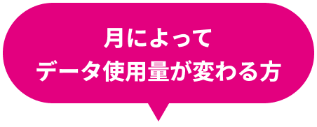 月によってデータ使用量が変わる方