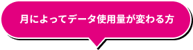 月によってデータ使用量が変わる方