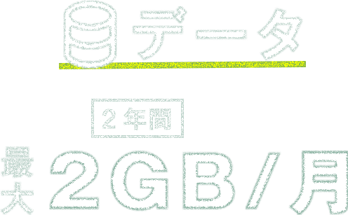 データ 最大 2年間 2GB/月