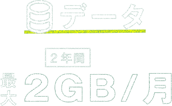 データ 最大 2年間 2GB/月