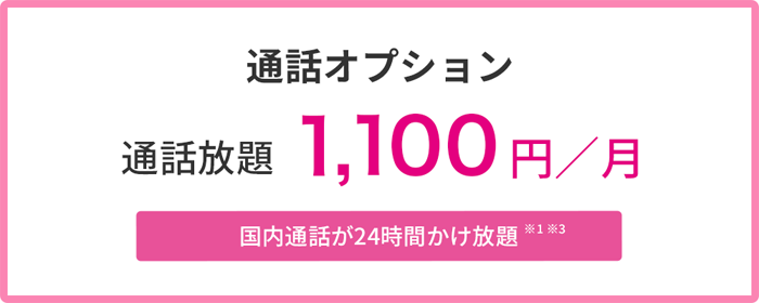 通話オプション 通話放題1,100円／月 国内通話が24時間かけ放題※1※3