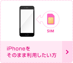 iPhoneそのまま利用したい方