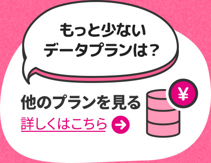 もっと少ないデータプランは？ 他のプランを見る