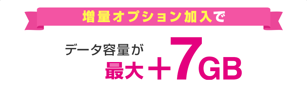 増量オプション加入でデータ容量が最大＋7GB