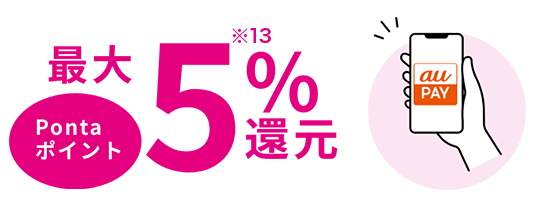 Pontaポイント最大5％※13還元